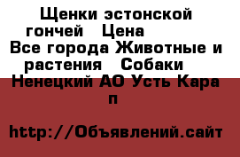 Щенки эстонской гончей › Цена ­ 7 000 - Все города Животные и растения » Собаки   . Ненецкий АО,Усть-Кара п.